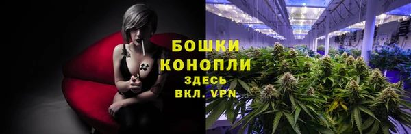 трава Армянск
