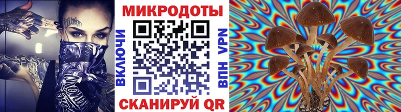 закладки  Тайшет  Псилоцибиновые грибы GOLDEN TEACHER 